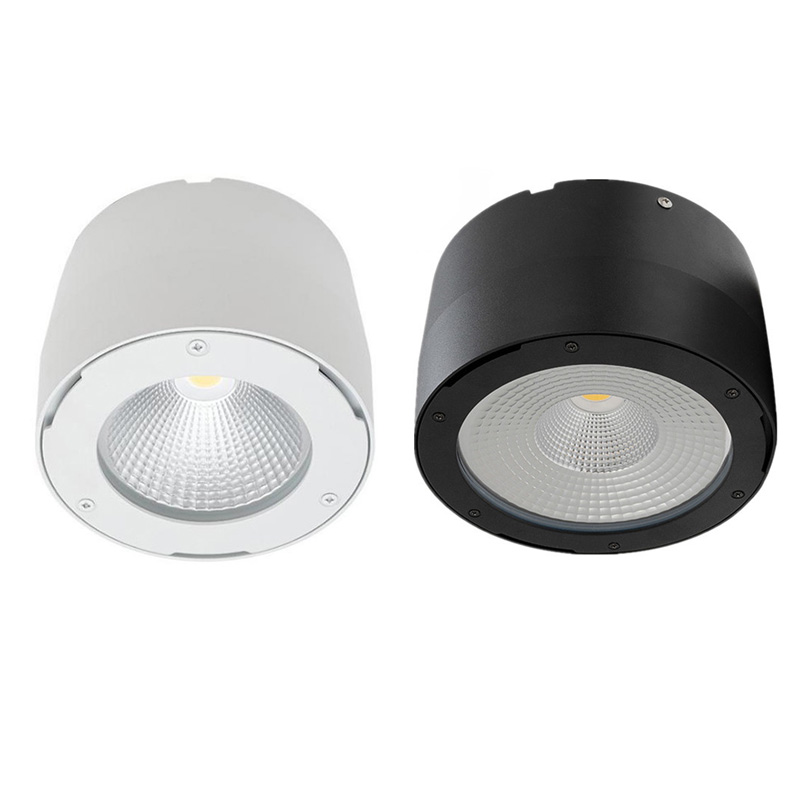 IP65 Surface Mounted Downlight Waterproof LED 15W 20W 5-Inch Cylindrical Downlight